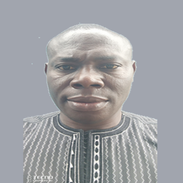 OLUSESAN RAPHAEL AROWOSEGBE